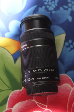 Canon EF S 55 - 250mm Lens  like Brand New
