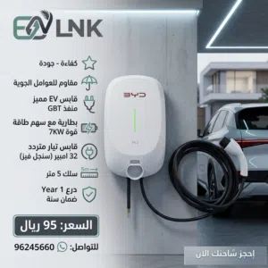 شاحن Byd للسيارات الكهربائية EV (نوعان)