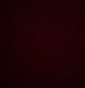 abo amer. 