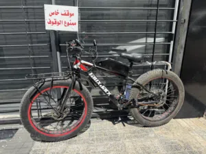 بسكليت كهربائي