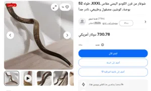 شوفار يمني طول متر