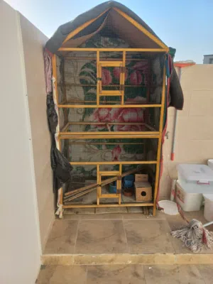 القفص للبيع