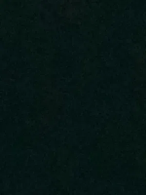 مطلوب حيوانات ميته اريدها للتحنيط  اي حيوان ميت لا ترمونه عطوني اياه و سيفو رقمي للتواصل في حال لقيت