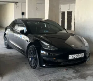 TESLA MODEL 3 STANDARD PLUS 2021 for sale