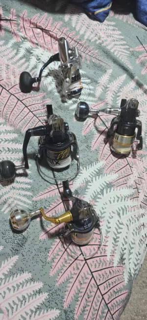 مكينات صيد للأستفسار