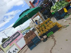 مظلات للمحلات والحدائق