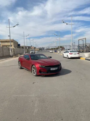 كمارو 2019