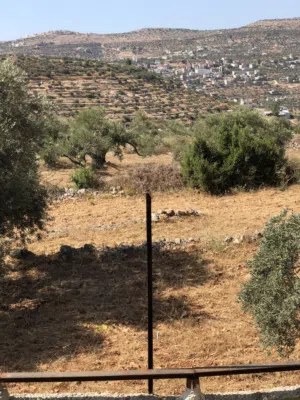 ارض سكنية وزراعية