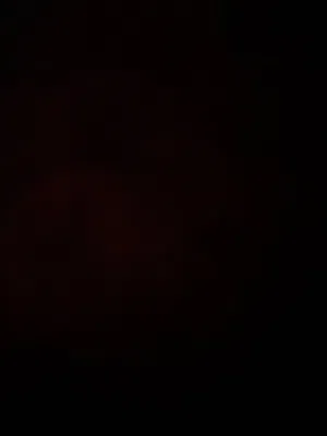 دجاجه وراها 19 صوص