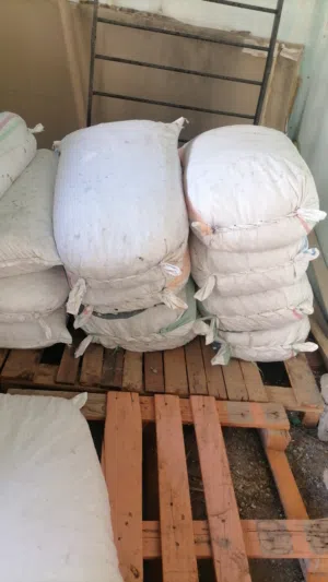 سح نفيعه جواني كبار