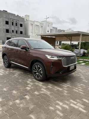 هافال H6 صبغ الوكالة
