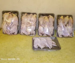 سمان مذبوح طازجة