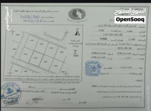 مخطط الشباب تيكا