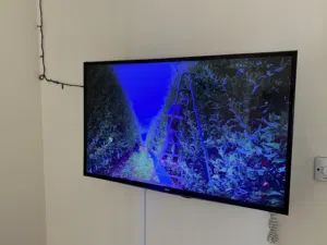 LG 43 Inch TV