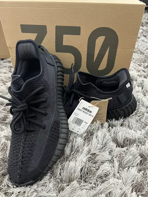 Sport Shoes . Adidas . 41.52
