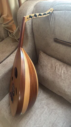 عود بحريني