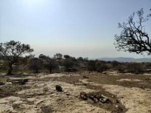 Residential Land for Sale in Amman Badr Jdedeh