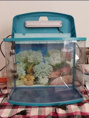 Fish tank for sale                             حوض سمك للبيع