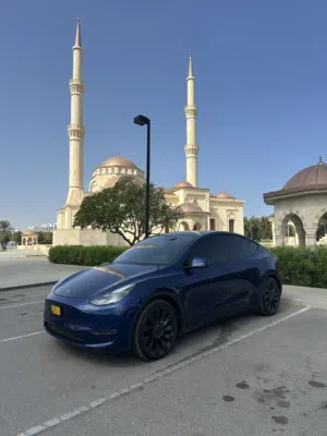 Used Tesla Model Y in Muscat