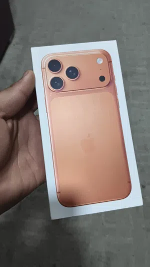 17 pro max