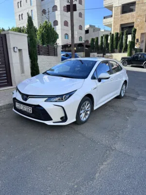 Toyota Corolla تويوتا كورولا2023