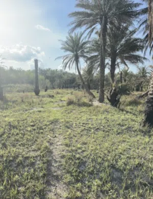 Mixed Use Land for Sale in Diyala Miqdadiyah