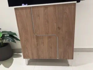 Shoe Cabinet