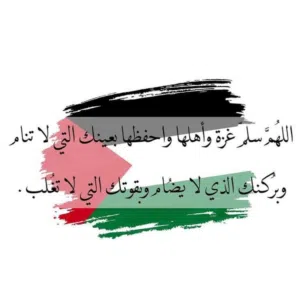 mohamed alkaldy 
