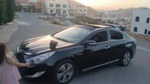 سوناتا 2013