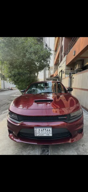 جارجر 2019 GT كلش نظيفة