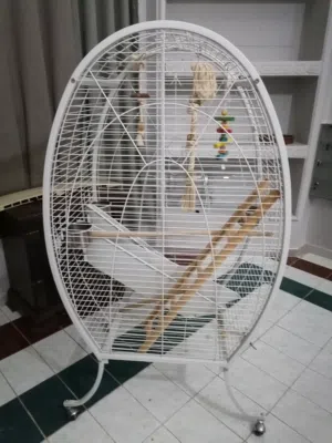 قفص طيور بي الزينه وملتزمات تبعواا