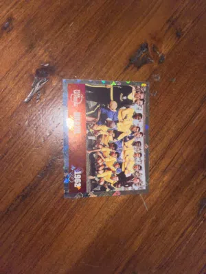 (ULTRA RARE) 1962 OFFICIAL PANINI BRAZIL TEAM CARD