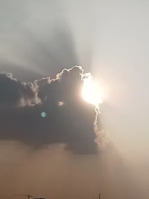سلام عليكم اي طير اليف اشتري لعدد مفتوح  اقره وصف