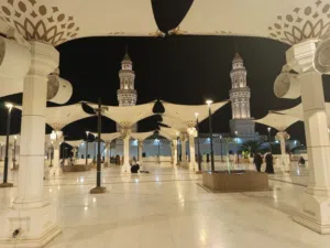 Apo saif 