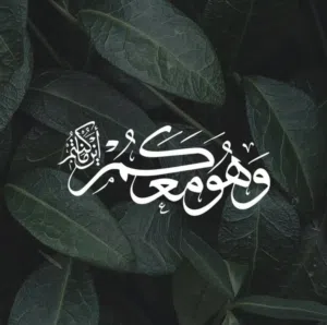 marwan Ali OMAR
