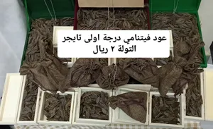 عود فيتنامي درجة إولى ( انظر الوصف والصور )