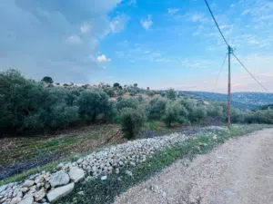 Mixed Use Land for Sale in Ajloun Sakhra