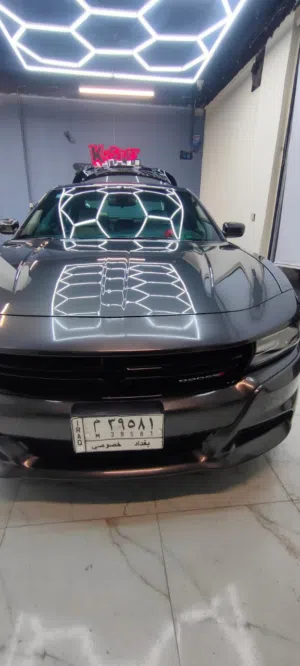 دودج جارجر 2019 حادث خلفي sxt سعر 210 وبيها مجال