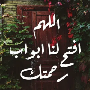 safaa 