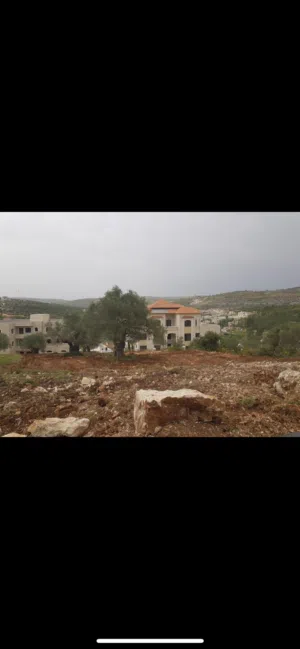 Commercial Land for Sale in Ramallah and Al-Bireh Ein Sinya