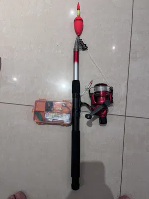 Fishing rod with hooks
