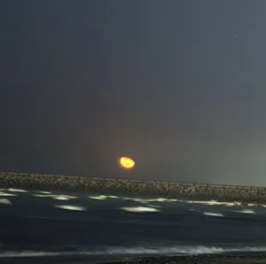 الازهر المعمري 