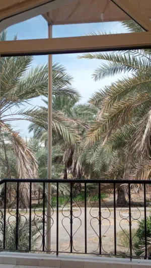 طناء نخيل خلاص