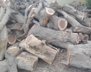 حطب للمشوي والمشاكيك احجام مختلفه توصيل مجان السويق الخابوره