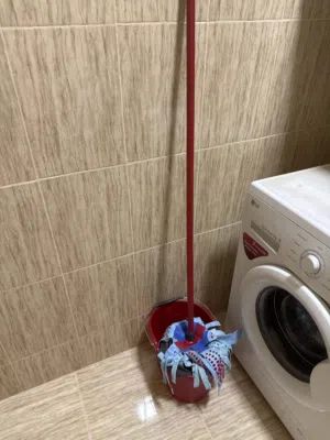 Vileda floor mop