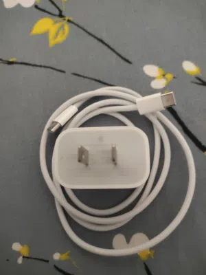 Apple original 20w fast charger - type c