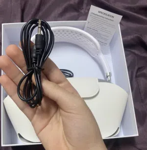 Airpods Max