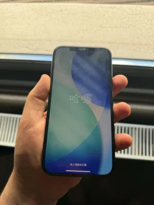 Apple iPhone 12 Pro Max 128 GB in Amman