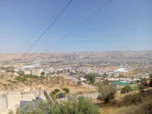 Residential Land for Sale in Salt Um Aldananir