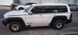 Nissan Patrol Safari Falcon Edition 2019 — First Owner, Oman Agency